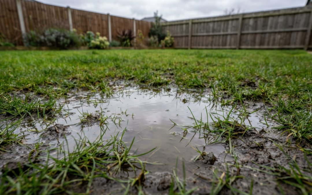 Back yard with standing water puddle not draining efficiently.